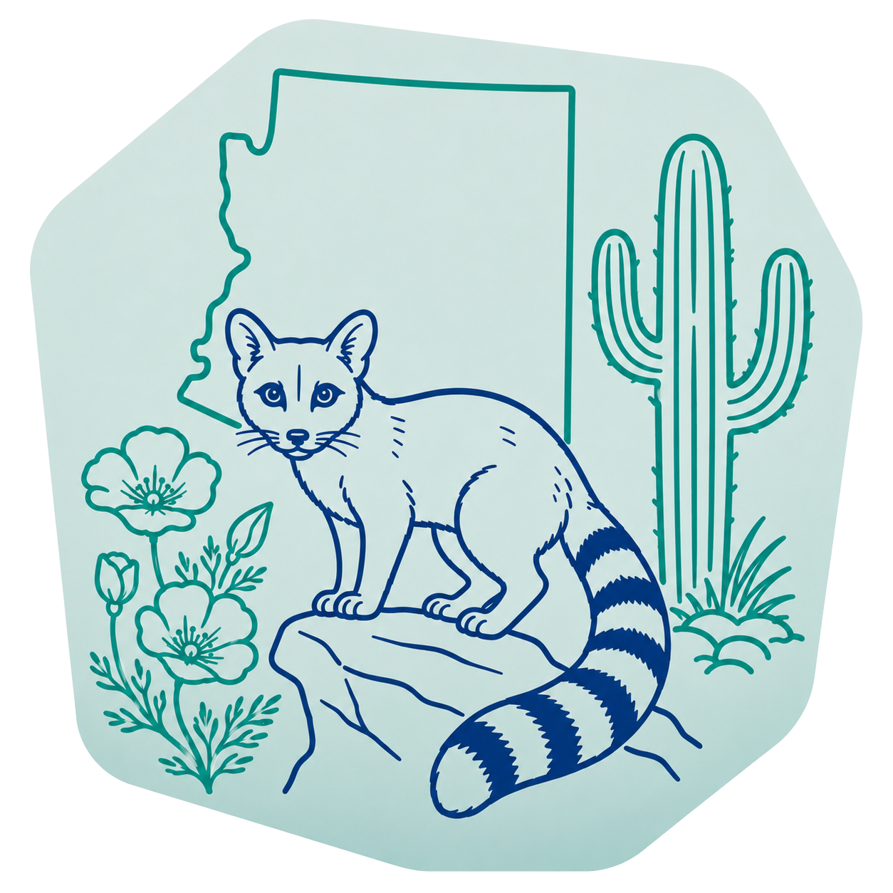 Arizona outline