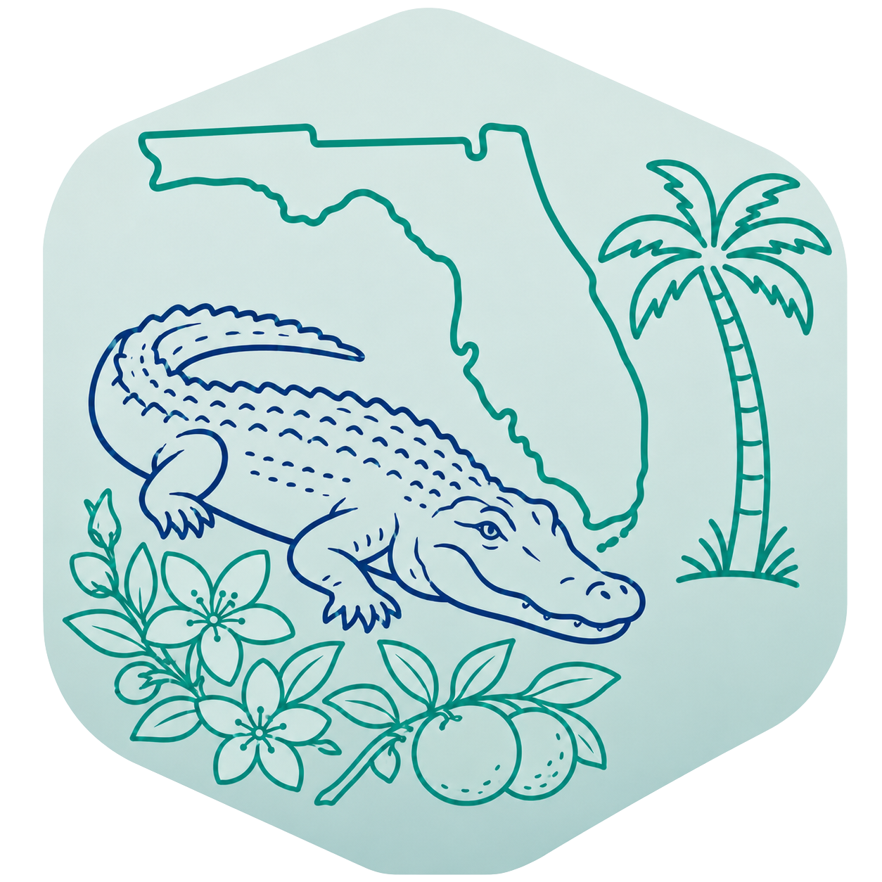 Florida outline
