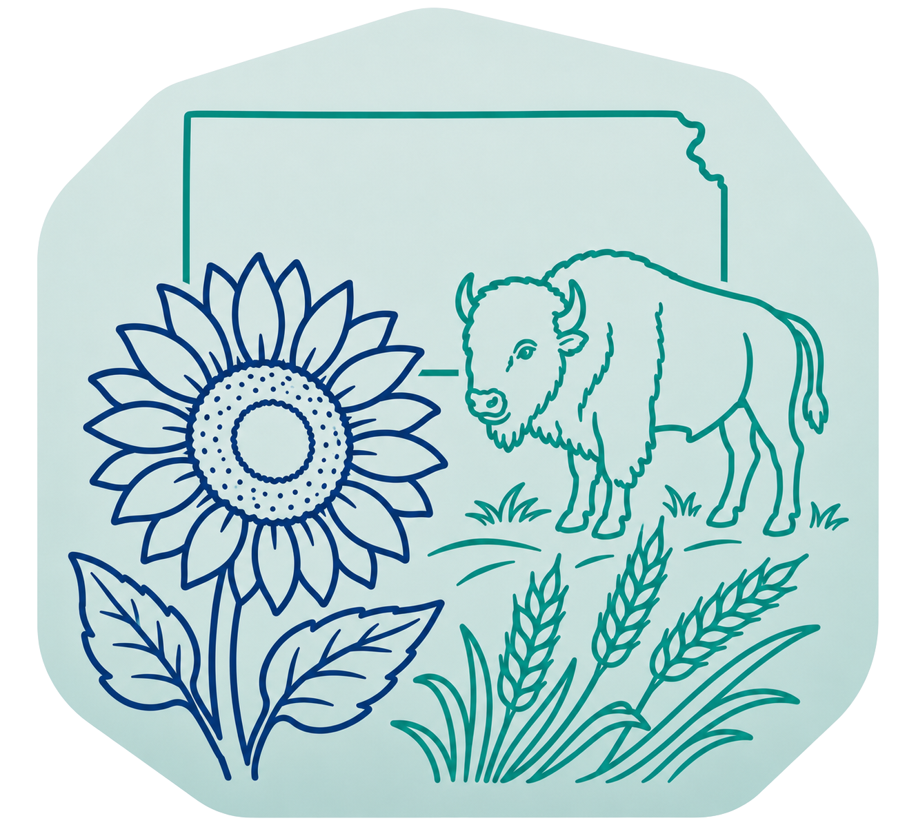 Kansas outline