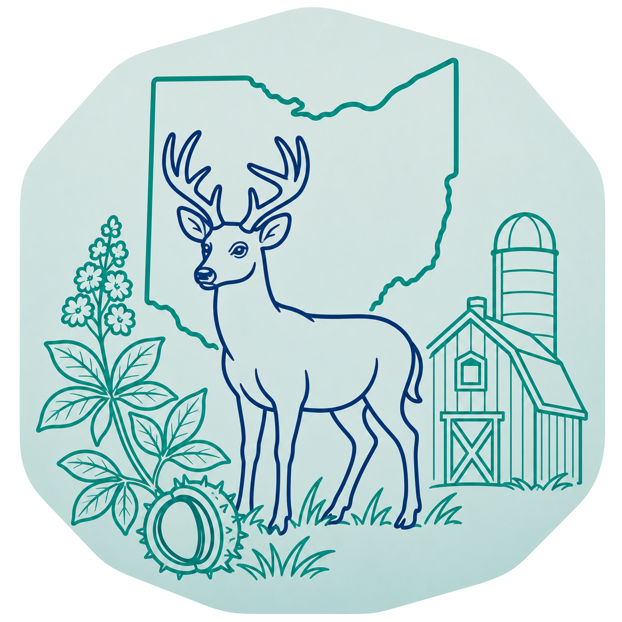 Ohio outline
