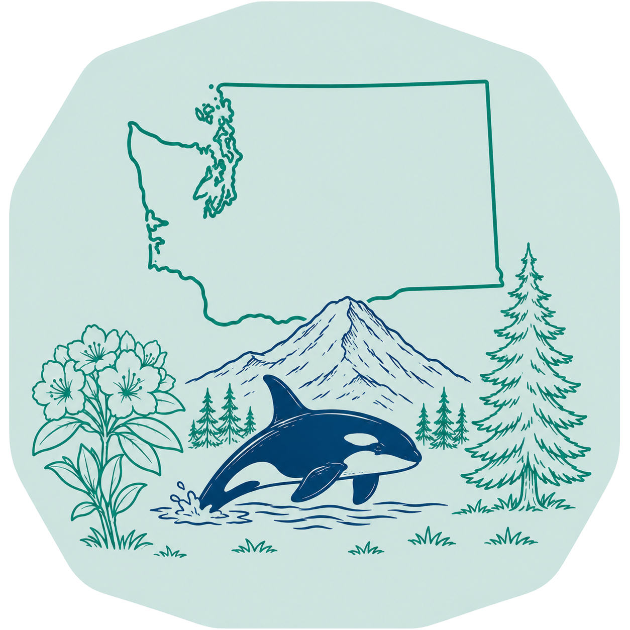 Washington outline