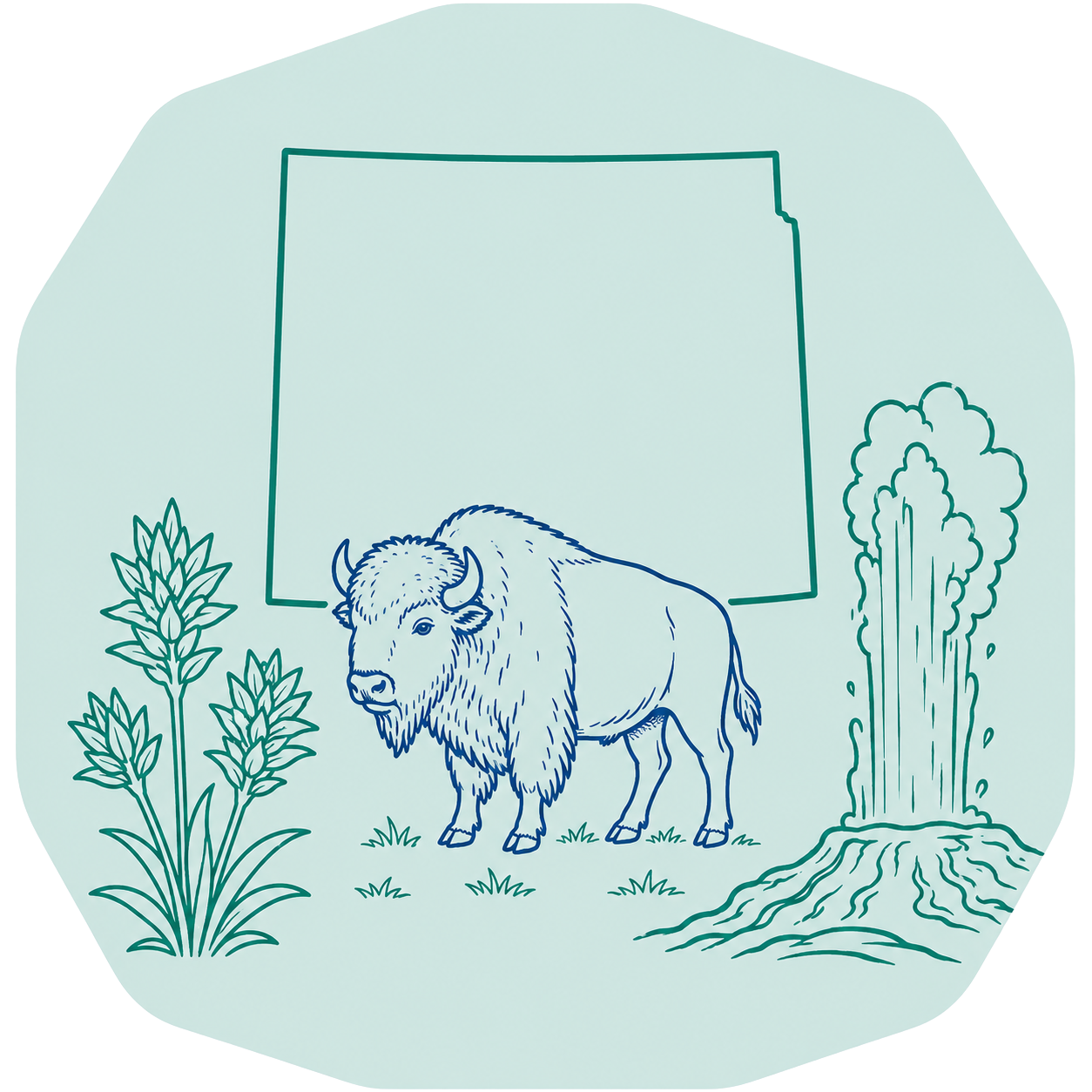 Wyoming outline